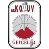 https://img.kimvolheim.com/img/basketball/team/4b06fe02aaa7da5901e5698485059da0.png