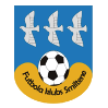 https://img.kimvolheim.com/img/football/team/259a1106a33b56d2bb3c458a62ffa2ea.png