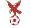 https://img.kimvolheim.com/img/football/team/4802d26df935b78bb2fcdbbff36e8864.png